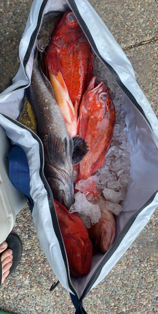 Buffalo Gear fish cooler