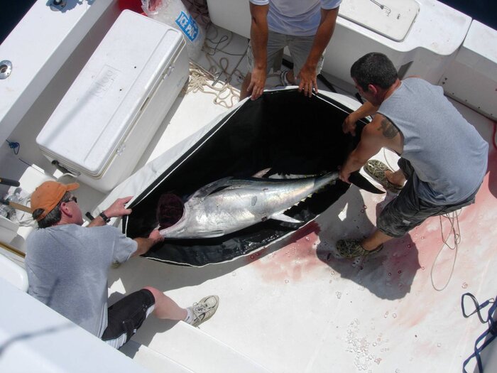 71x30'' Collapsible Insulated Fish Cooler Bag With YKK Zipper - Buffalo Gear