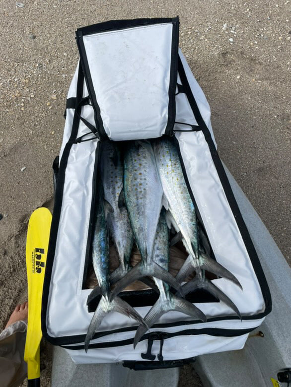 Kayak FISH COOLER - Buffalo Gear