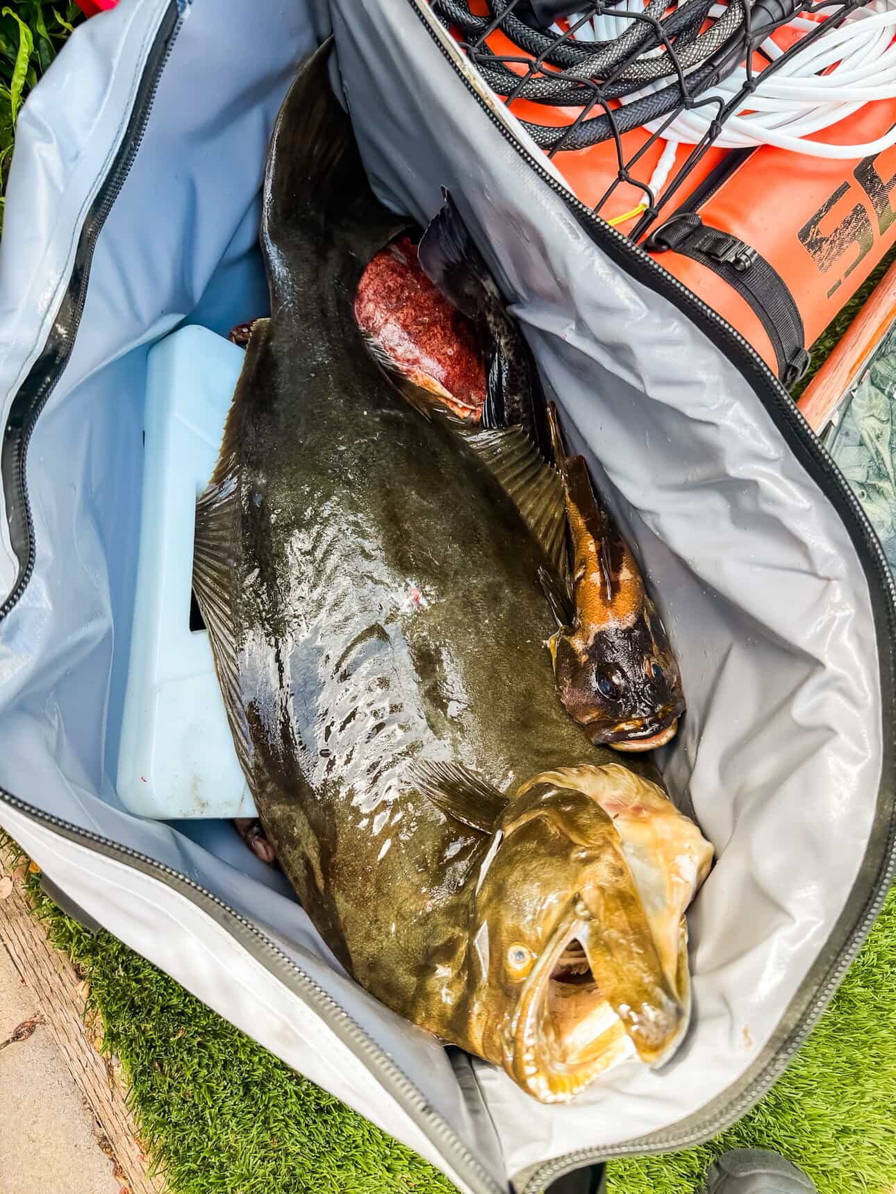 45qt Insulated Fish Cooler Bag With Flat Bottom